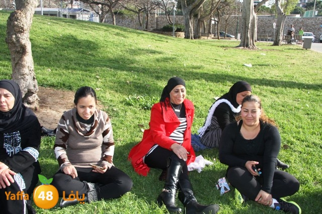 3edmelad321 (13).JPG